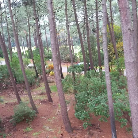 T2 32m2 Terrasse 8m2 Piscine Ocean Golf Multisport شقة