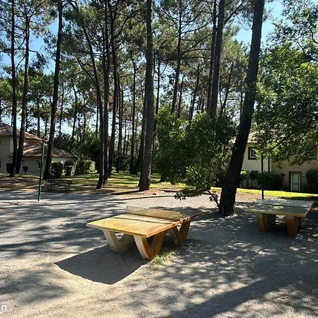 T2 32m2 Terrasse 8m2 Piscine Ocean Golf Multisport Lägenhet